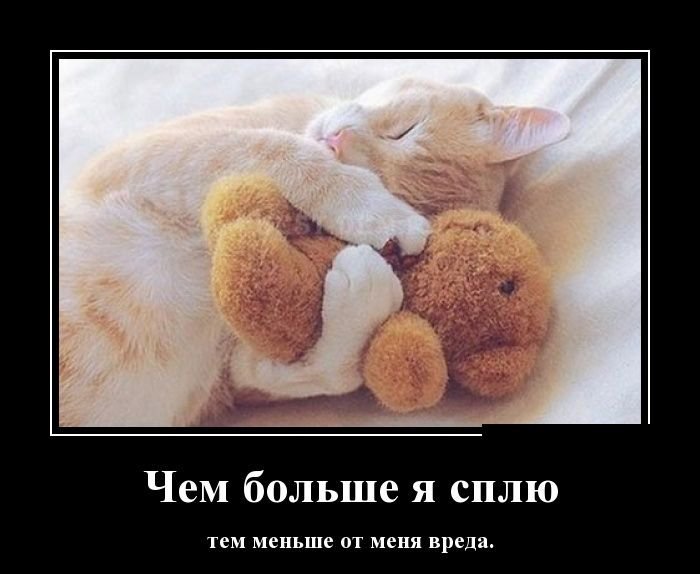 Прикольные и веселые мотиваторы для позитива и радостного настроения 