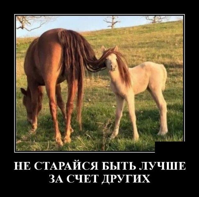 Утренняя подборка прикольных картинок №11 Утренняя подборка прикольных картинок №11 отдых