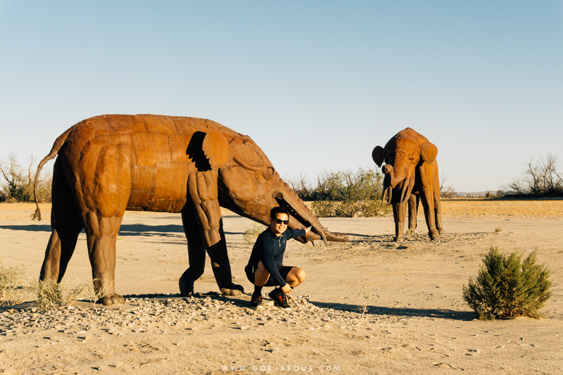 Anza-Borrego Springs-4.jpg