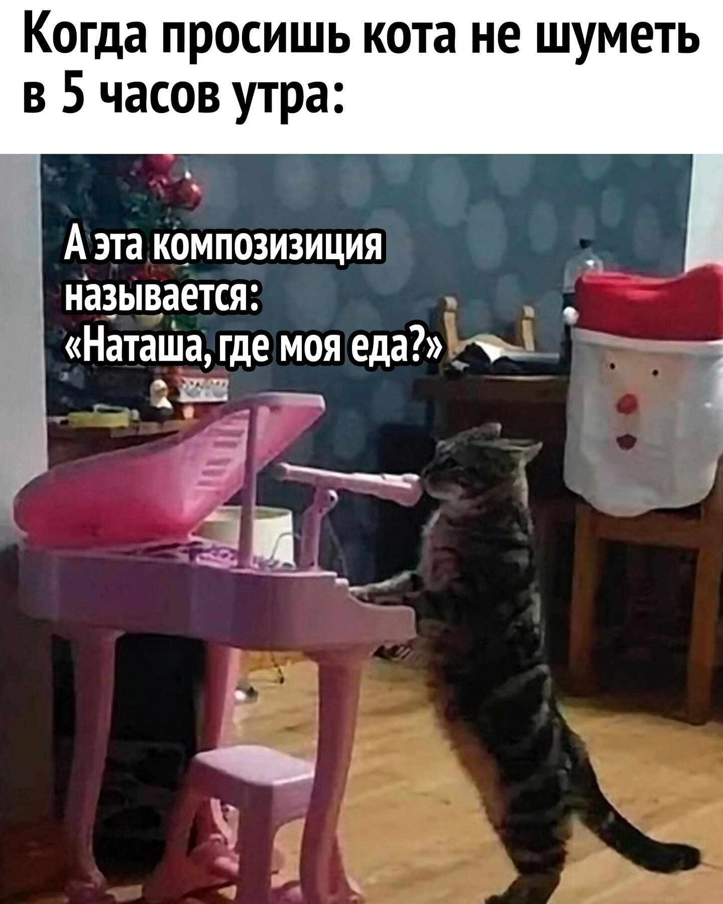 Где тут у вас место для публичного покаяния? Где тут у вас место для публичного покаяния? который, содержанием, страшная, хозяйка, шлангом, ходит, обломилась, понималка, отпала, терпелка, хозяйки, черствая, вдруг, упадетА, столу, тоской, полные, заглянут, подойдут, мискам
