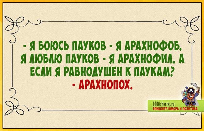 Ну, ни фига ты оптимист!… Анекдоты, как зарплата, пропускать нельзя)))