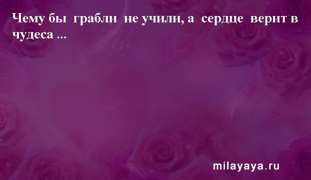 Картинки со статусами. Подборка milayaya-status-milayaya-status-40110819092020-4 картинка milayaya-status-40110819092020-4