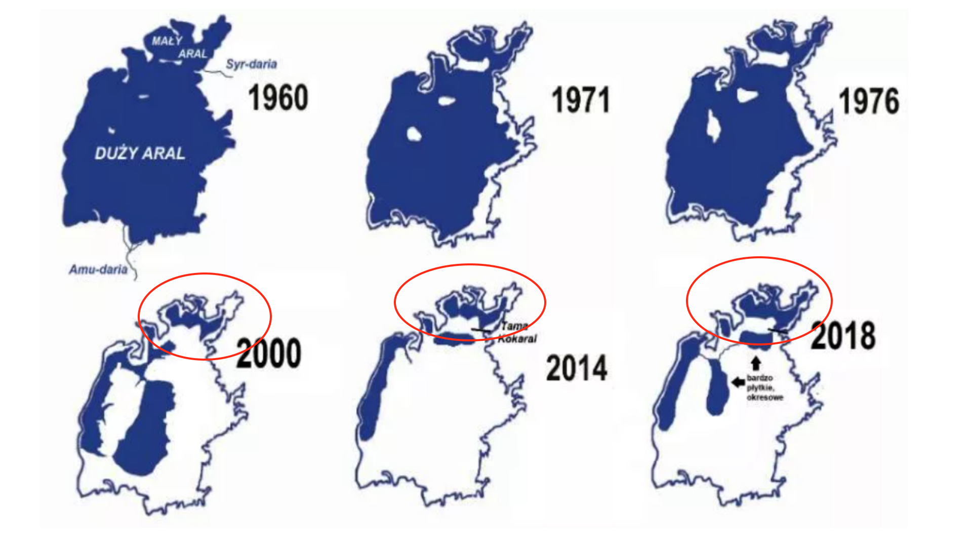 Карта аральского моря 1950 года