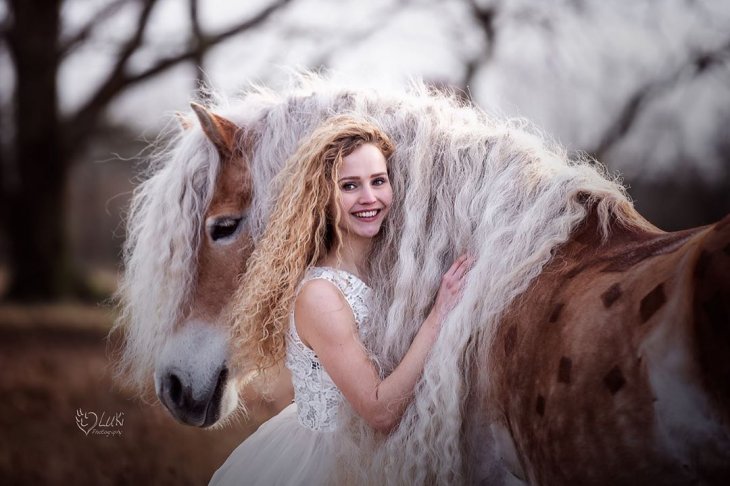 Шторм — сказочная лошадь Хафлингера Шторм — сказочная лошадь Хафлингера животные,природа