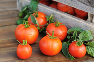 как засолить помидоры во фляге. Смотреть фото как засолить помидоры во фляге. Смотреть картинку как засолить помидоры во фляге. Картинка про как засолить помидоры во фляге. Фото как засолить помидоры во фляге как засолить помидоры во фляге. Смотреть фото как засолить помидоры во фляге. Смотреть картинку как засолить помидоры во фляге. Картинка про как засолить помидоры во фляге. Фото как засолить помидоры во фляге