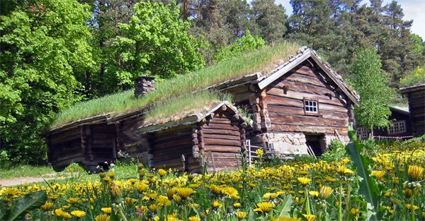 log-cabin