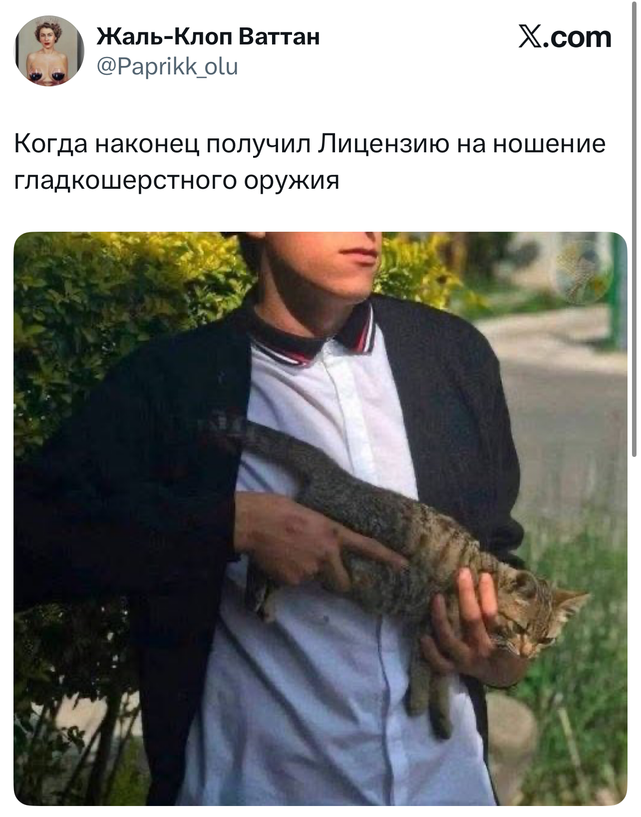 Лучшие шутки дня из X (Twitter)