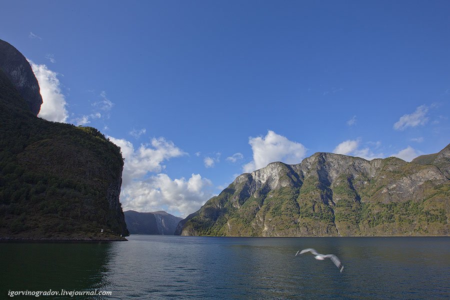 Красота и величие норвежских фьордов Европа,Норвегия,фьорды