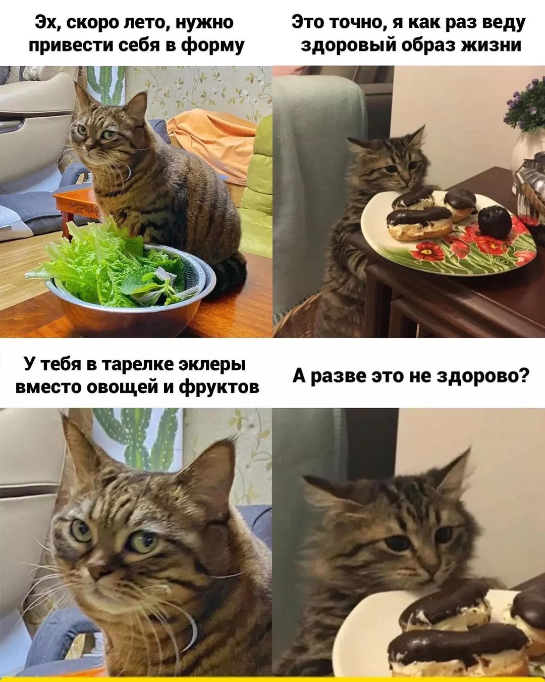 Где тут у вас место для публичного покаяния? Где тут у вас место для публичного покаяния? который, содержанием, страшная, хозяйка, шлангом, ходит, обломилась, понималка, отпала, терпелка, хозяйки, черствая, вдруг, упадетА, столу, тоской, полные, заглянут, подойдут, мискам