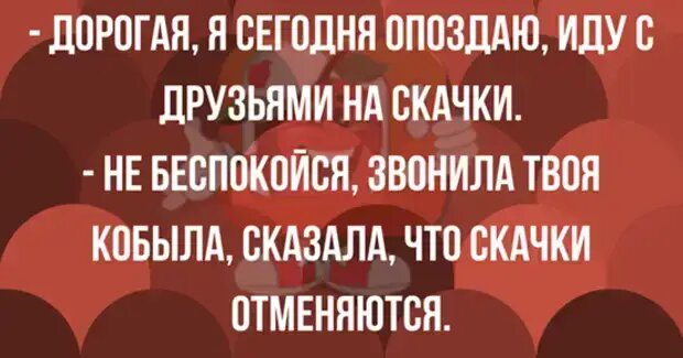 Уважаемые друзья! Часто в различных источниках можно прочесть анекдоты, от которых порой не знаешь — смеяться или плакать.-10