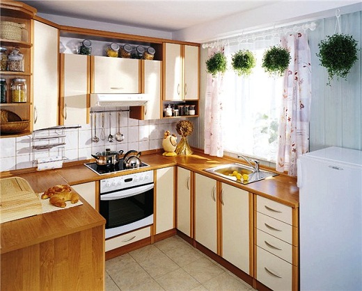 Как красиво украсить кухню комнатными цветами.
