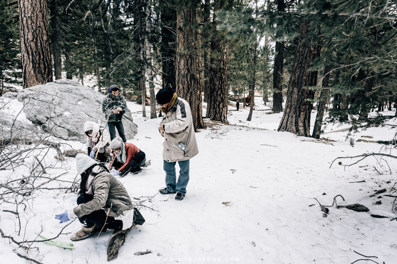 Winter in Mount San Jacinto State Park-16.jpg