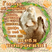 Пошаговое фото рецепта: SOS