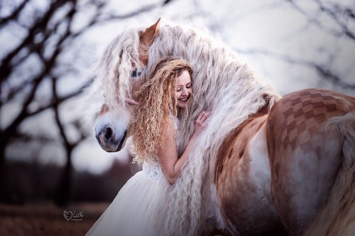 Шторм — сказочная лошадь Хафлингера Шторм — сказочная лошадь Хафлингера животные,природа