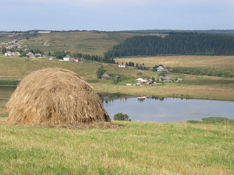 Картинка сенокос в деревне