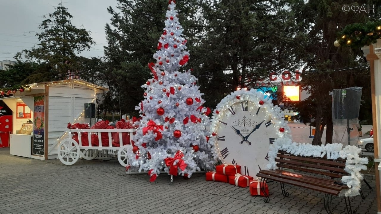 В Севастополе рассказали, когда можно дешевле всего купить новогоднюю елку