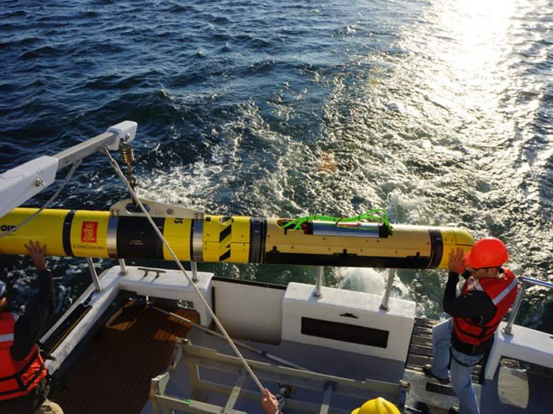 Подводные необитаемые аппараты REMUS 600 на Украине Подводные необитаемые аппараты REMUS 600 на Украине оружие