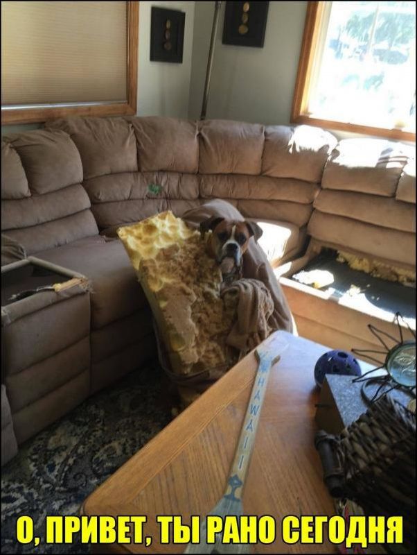 Фотоподборка вторника 27 ноября Фотоподборка вторника 27 ноября