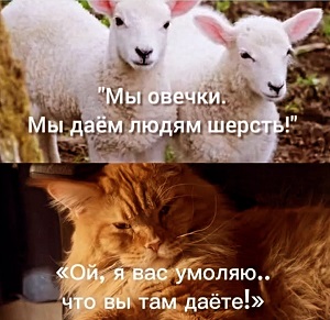 Дневник кота Василия апреля, марта, Вчера, потом, Хозяин, хозяйка, Сегодня, вчера, попугайчика, шторы, потому, вернулся, сразу, шкафа, нельзя, логика, логики, разрыдалась© , средневековое, мракобесие19