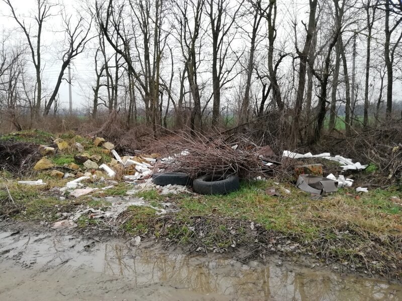 Про мусорный коллапс в Краснодаре Про мусорный коллапс в Краснодаре