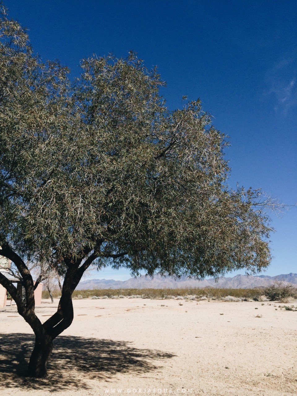 Roan and I brought packed lunch, so we stopped over at Haviland Rest Stop Eastbound in Yucca, AZ around 12:30PM on 29 January 2016.