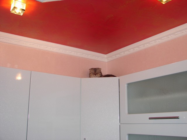 Кухня для жены. Ремонт - нескончаемый бой Кухня для жены. Ремонт - нескончаемый бой домашний очаг...