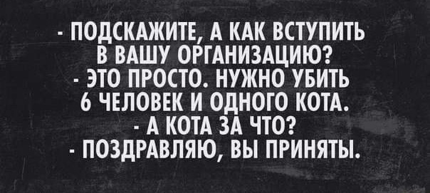 Без кота и жизнь не та Без кота и жизнь не та спасет, животное, спасёт, припёрсси , такую, свободу , хочет , режут, рядом, Потому, слезами , Горькими, плачет , Котэматрёшка Кот, лапки , пострадало , взгляда , планету , последний, Любовь