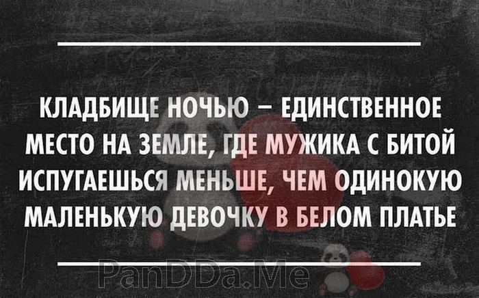 Убойная подборка из 15 позитивных историй для отличного настроения 