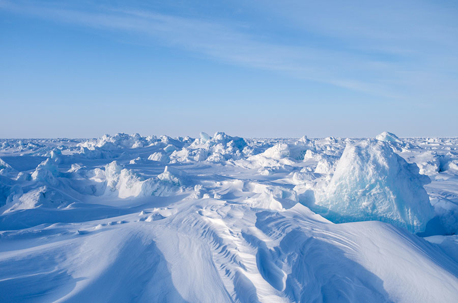 Последние новости России — сегодня 14 августа 2019 россия