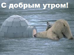 ЖИЗНЬ ЖИВОТНЫХ  Сначала, милота, настроения             , жизненные, ситуации                                                               