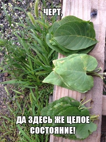 Просто улыбнитесь !!! И хорошего настроения Вам!