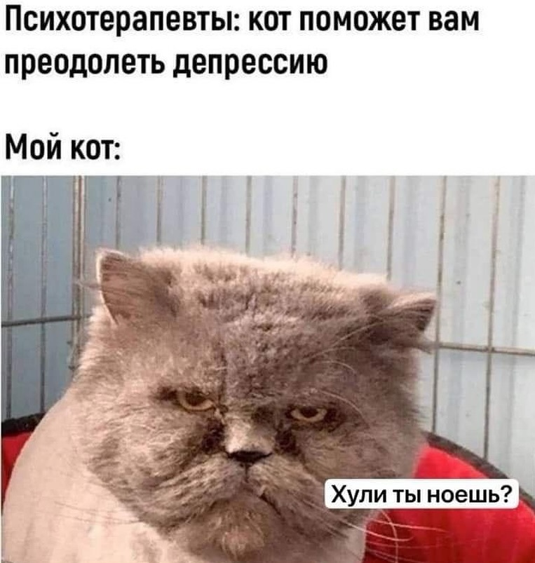 Отруби. Это был очень быстрый тест на то, викинг вы или диетолог Отруби. Это был очень быстрый тест на то, викинг вы или диетолог опаздываю, работу, значит, бегать, троллейбусом, гордость, вообщето с , Дарья, Романова
