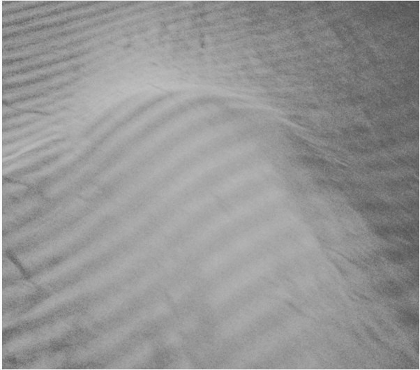 проблемы которые доставляют кошки