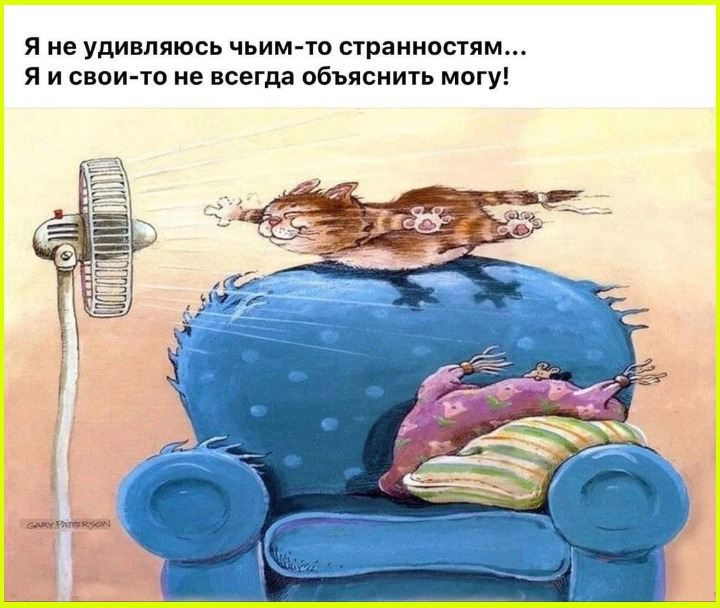 Юмор на сон грядущий Пятница 