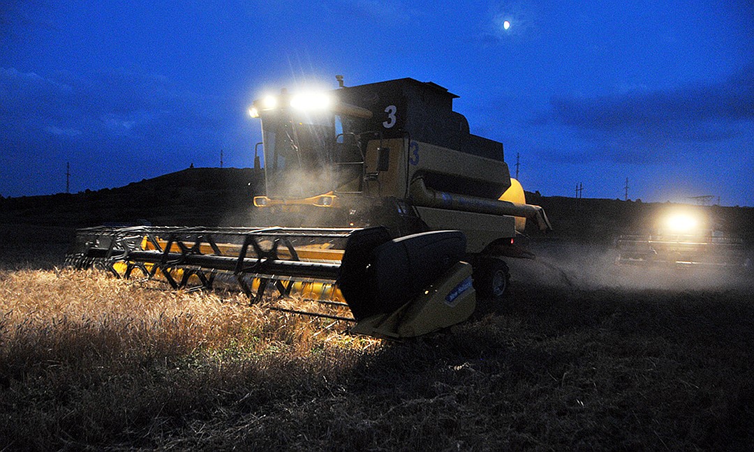 Производство зерна на богатых почвах позволяет не тратиться на удобрения Фото: Игорь ЧАБАНЕНКО
