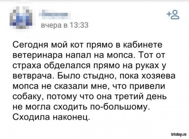 Смешное из соцсетей Смешное из соцсетей