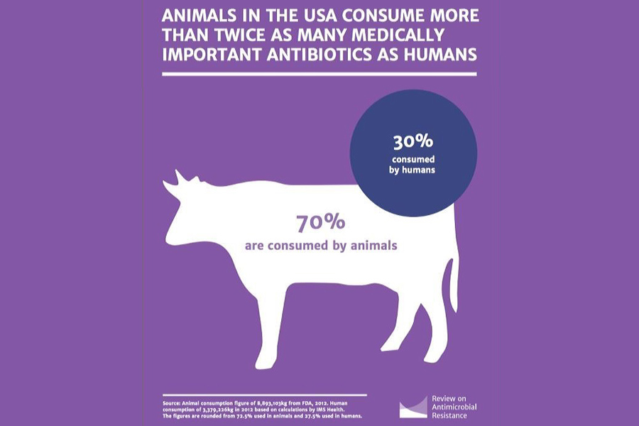 Animals-Antibiotic-US