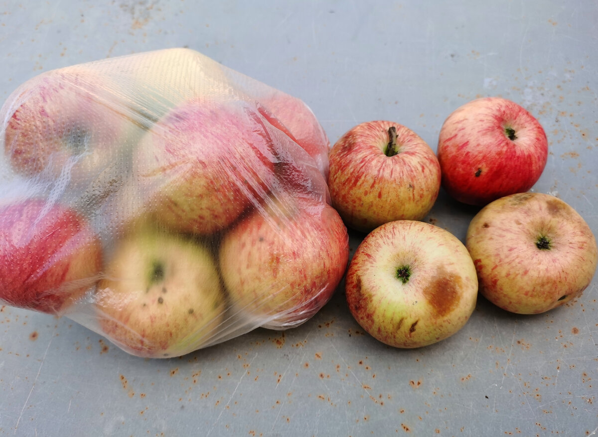 Одной 88 лет, другой 90: Зачем бабушки-старушки приходят на рынок торговать. Разговор по душам в российской глубинке Истории из жизни,отношения,эту страну не победить