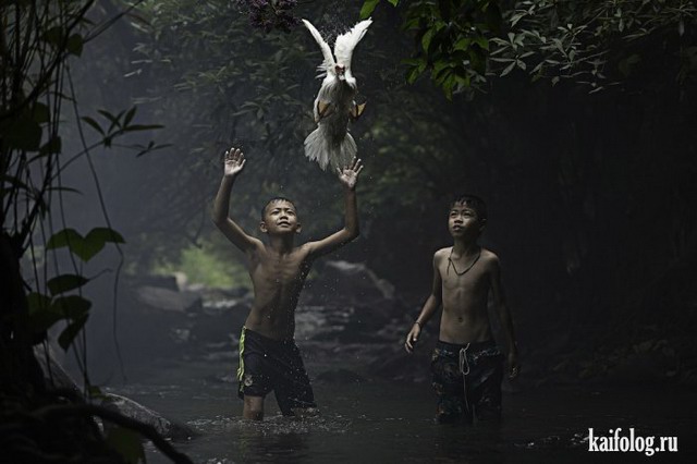   National Geographic 2015 (75 )