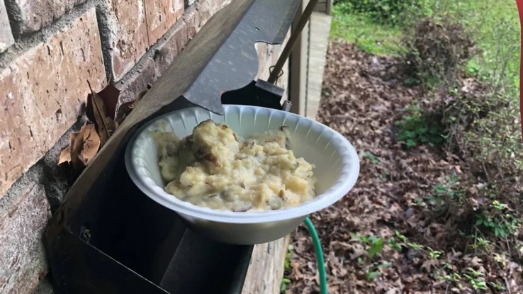 15 странных необъяснимых тайн, запечатленных на фото в 2019 году 15 странных необъяснимых тайн, запечатленных на фото в 2019 году природа,странности,фотографии