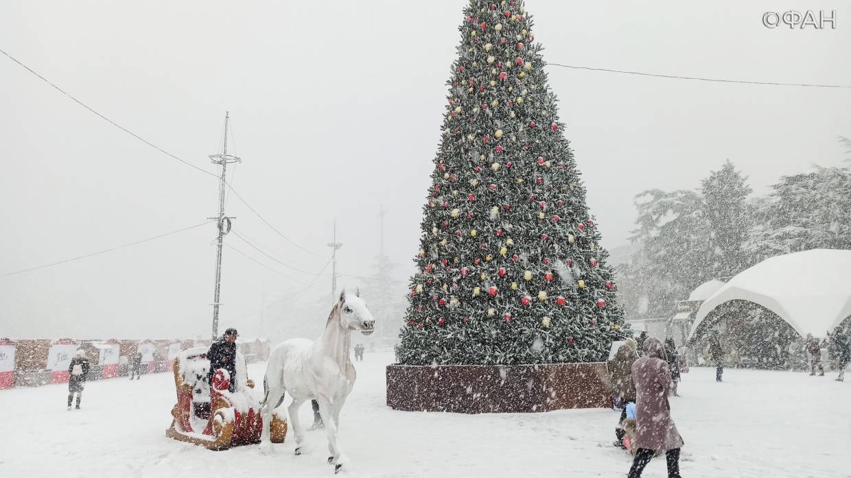 Ялту засыпало снегом: фоторепортаж ФАН Ялту засыпало снегом: фоторепортаж ФАН Общество