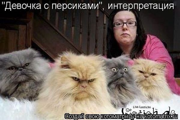 Если вы слишком много работаете - заведите кота. Силой личного примера он перетянет вас на сторону истинных ценностей: отдыха и ленивого созерцания (котоматрицы) Если вы слишком много работаете - заведите кота. Силой личного примера он перетянет вас на сторону истинных ценностей: отдыха и ленивого созерцания (котоматрицы)