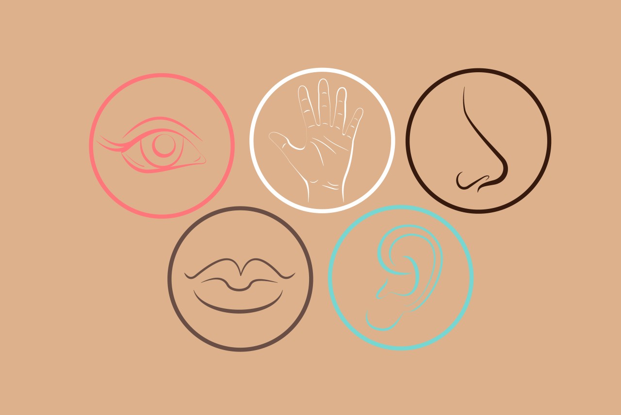 Do the senses make sense. Мультисенсорное восприятие. Ощущение вектор. 5 Чувств человека. Sense icon.