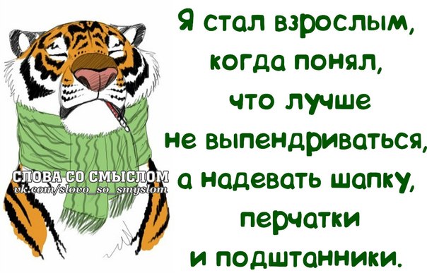 Нескучные фразочки в картинках Нескучные фразочки в картинках