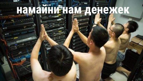 Прикольные картинки на каждый день 