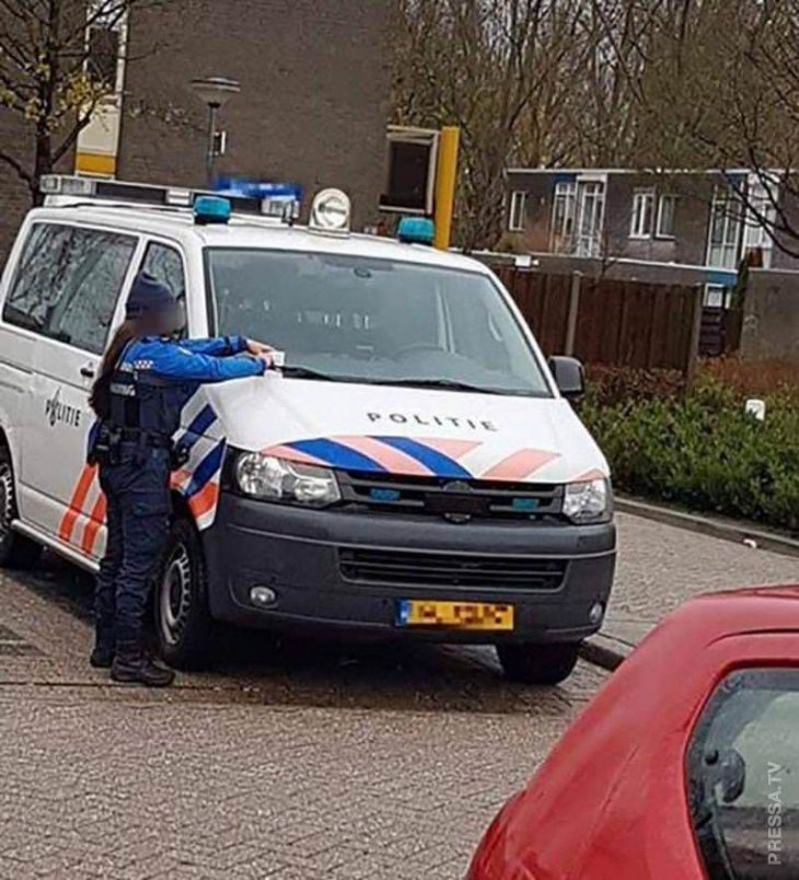 Фэйлы и неудачи Фэйлы и неудачи