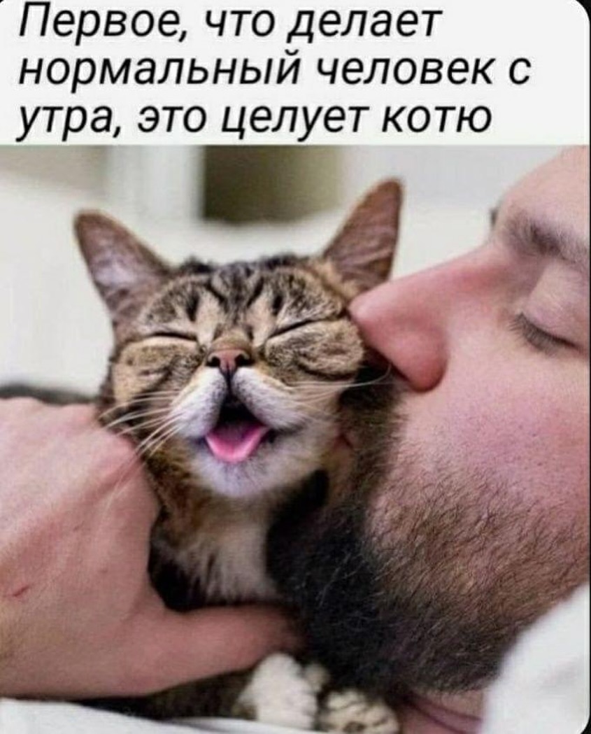 Отруби. Это был очень быстрый тест на то, викинг вы или диетолог Отруби. Это был очень быстрый тест на то, викинг вы или диетолог опаздываю, работу, значит, бегать, троллейбусом, гордость, вообщето с , Дарья, Романова
