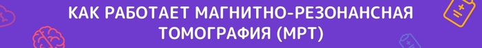 Краткая история медицинской визуализации: от рентгеновского снимка до искусственного интеллекта история медицины,медицина