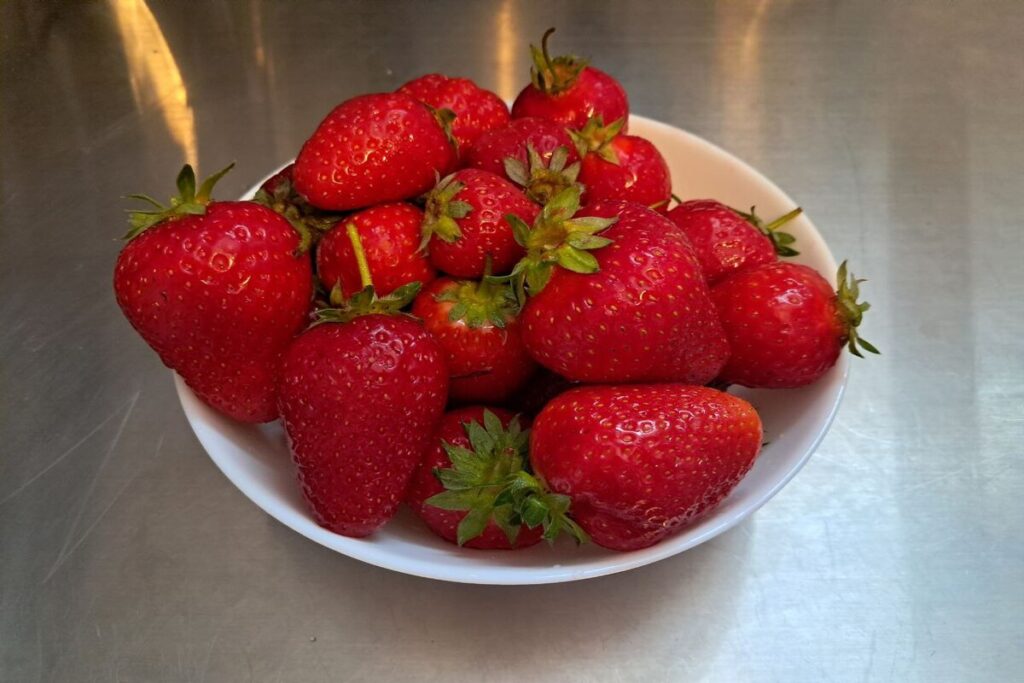 Диетолог раскрыла правила выбора и употребления летних ягод