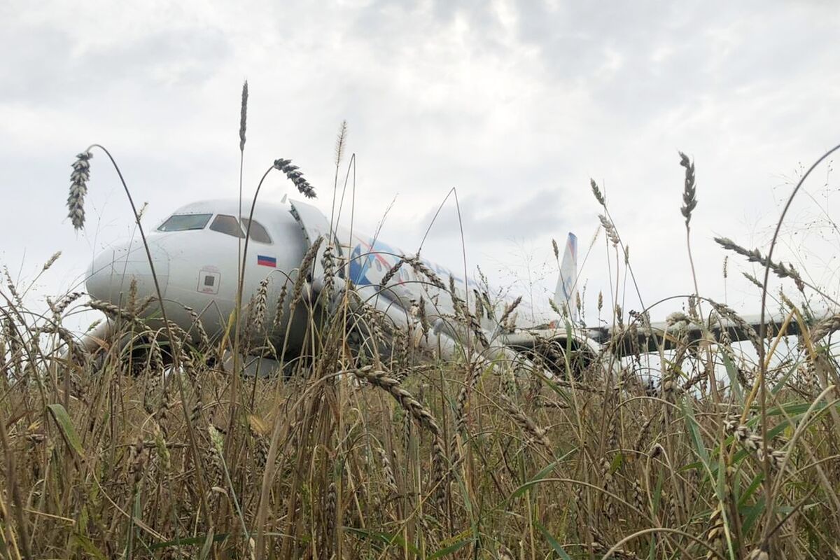 Посадивший самолет в поле под Новосибирском пилот устроился работать таксистом